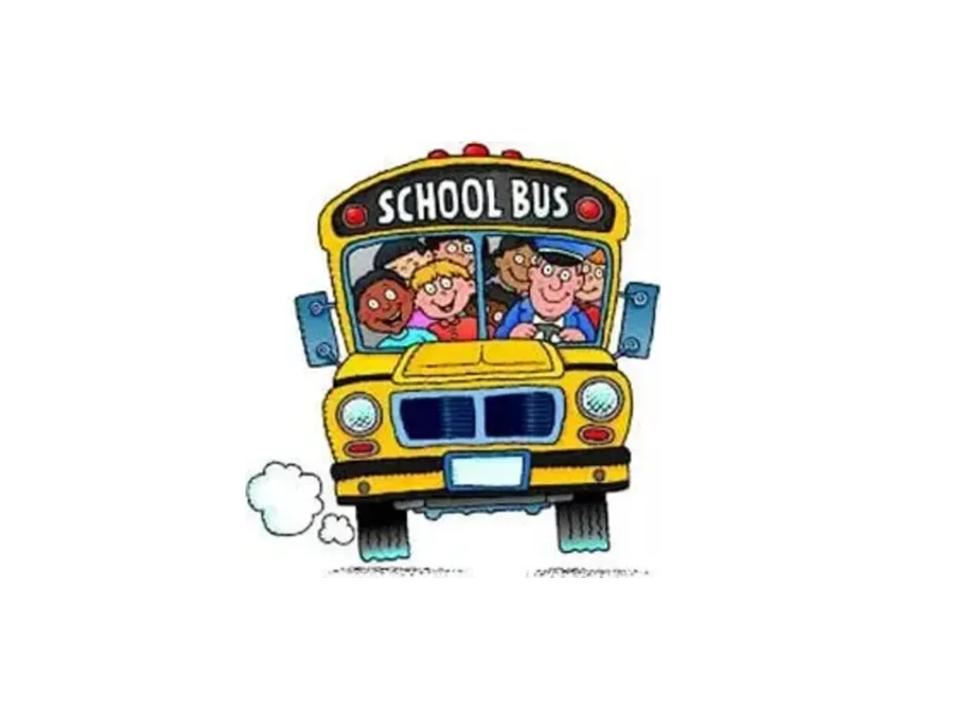  picture of school bus